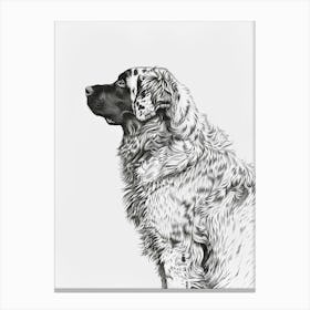 Leonberger Dog Line Sketch 1 Canvas Print