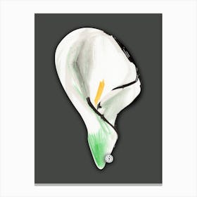 Calla - minimal watercolor art artwork painting illustration floral flower black grey vertical botanique Canvas Print