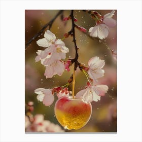 Cherry Blossoms 50 Canvas Print