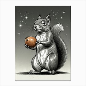 Squirrel With A Walnut Canvas Print
