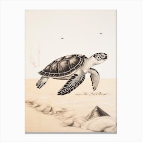 Detailed Sepia Sea Turtles On Beach  1 Canvas Print