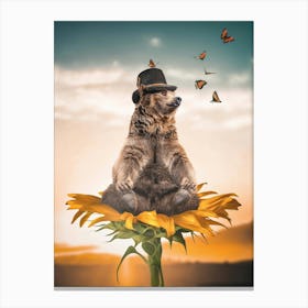 Bear Meditating On Sunflower Canvas Print