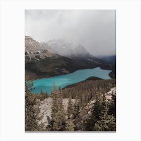 Blue Lake Forest Canvas Print