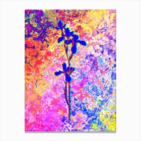 Siberian Iris Botanical in Acid Neon Pink Green and Blue n.0352 Canvas Print