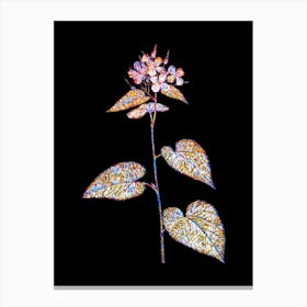 Stained Glass Morning Glory Flower Mosaic Botanical Illustration on Black Canvas Print
