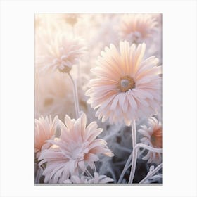 Frosty Botanical Gerbera Daisy 3 Canvas Print