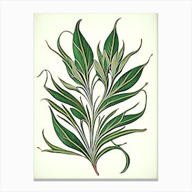 Tarragon Leaf Vintage Botanical 1 Canvas Print