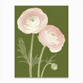 Pink & Green Ranunculus 2 Canvas Print