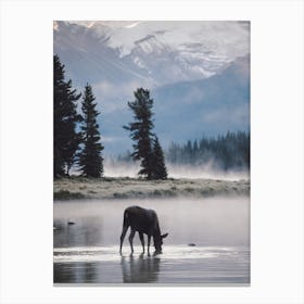 Misty Lake Moose Canvas Print
