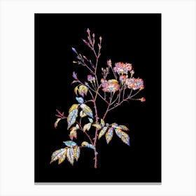 Stained Glass Pink Noisette Roses Mosaic Botanical Illustration on Black n.0226 Canvas Print