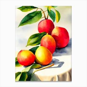 Guava Italian Watercolour fruit Canvas Print
