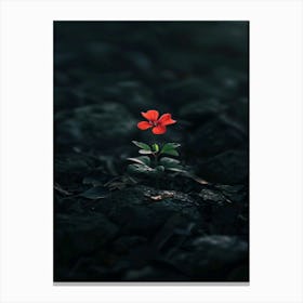 Red Flower In The Dark 1 Canvas Print