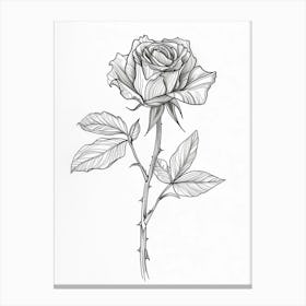 English Rose Black And White Line Drawing 34 Canvas Print