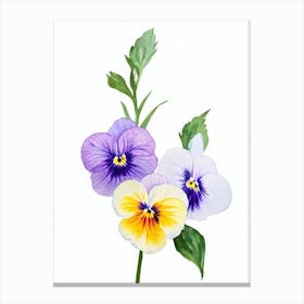 Pansy Watercolour Flower Canvas Print