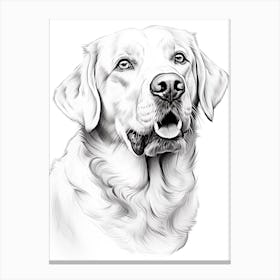 Labrador Retriever Dog, Line Drawing 3 Canvas Print