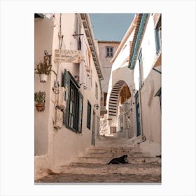 Greek Alley With Dog Hydra Greece Canvas Print
