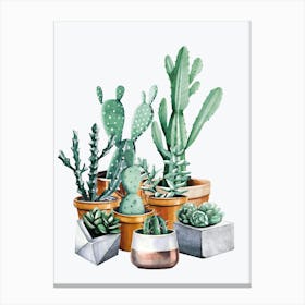 Watercolor Cactus Plants - Boho Painting Canvas Print