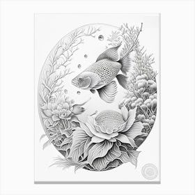 Hikari Moyomono Koi Fish Haeckel Style Illustastration Canvas Print