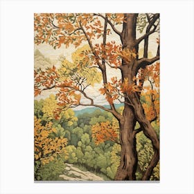 Eastern Cottonwood 4 Vintage Autumn Tree Print  Canvas Print