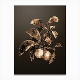 Gold Botanical Ripe Plums on Branch on Chocolate Brown n.4014 Canvas Print