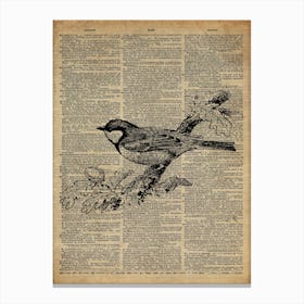 Sparrow Bird Canvas Print