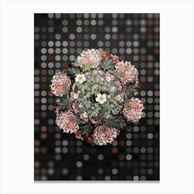 Vintage Musk Rose Flower Wreath on Dot Bokeh Pattern Canvas Print