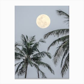 Full Moon Over Palm Trees Canvas Print