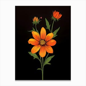 Cosmos Flower 5 Canvas Print