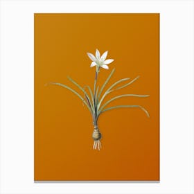 Vintage Rain Lily Botanical on Sunset Orange n.0031 Canvas Print