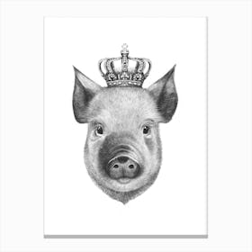 The King Pig Canvas Print