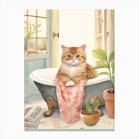 Exotic Shorthair Cat In Bathtub Bathroom 2 Canvas Print