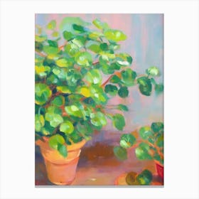 Pilea Impressionist Painting Plant Plant Canvas Print