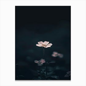 Flower In The Dark 46 Canvas Print