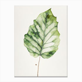 Fig Leaf Minimalist Watercolour 1 Canvas Print