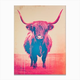 Highland Cattle Polaroid Inspired 4 Canvas Print