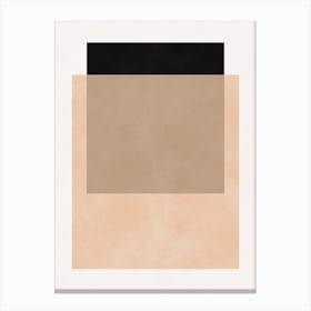 Modern geometry 2 Canvas Print