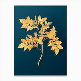Vintage Mountain Rose Bloom Botanical in Gold on Teal Blue n.0091 Canvas Print