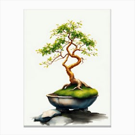 Bonsai Tree 8 Canvas Print