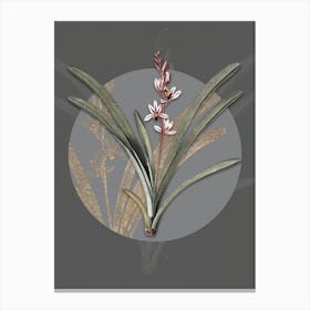 Vintage Botanical Boat Orchid on Circle Gray on Gray n.0086 Canvas Print