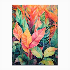 Tropical Plant Painting Calathea 1 Canvas Print