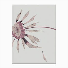 In Bloom Canvas Print