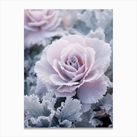 Frosty Botanical Ornamental Cabbage Canvas Print