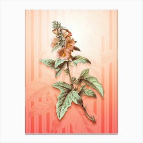 Tree Mallow Vintage Botanical in Peach Fuzz Awning Stripes Pattern n.0299 Canvas Print
