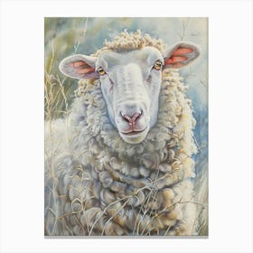 Sheep Pastel Watercolour 3 Toile