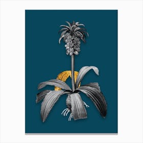 Vintage Eucomis Regia Black and White Gold Leaf Floral Art on Teal Blue n.1195 Canvas Print