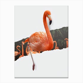 Flamingo Torn Paper Canvas Print
