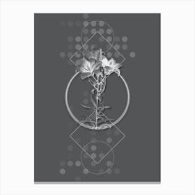 Vintage Fire Lily Botanical with Line Motif and Dot Pattern in Ghost Gray n.0327 Canvas Print