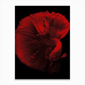 Red Betta Fish in my Line Illustration Canvas Print