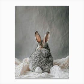 Rabbit Sitting On A Blanket Canvas Print