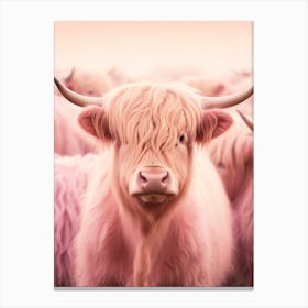 Pink Realistic Photography Of Highland Cows 1 Canvas Print